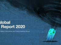 The Global Risks Report 2020 Cover - WEF